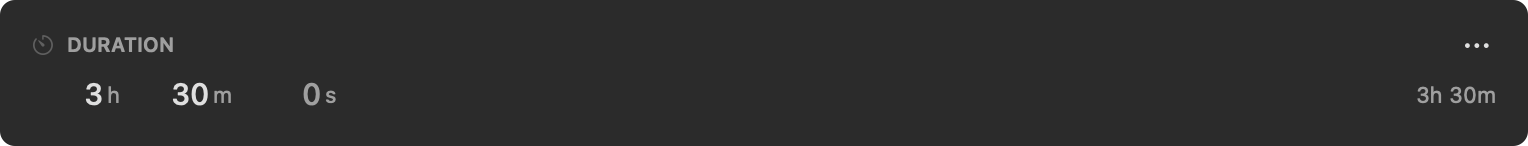 A Duration field with its hours, minutes, and seconds inputs