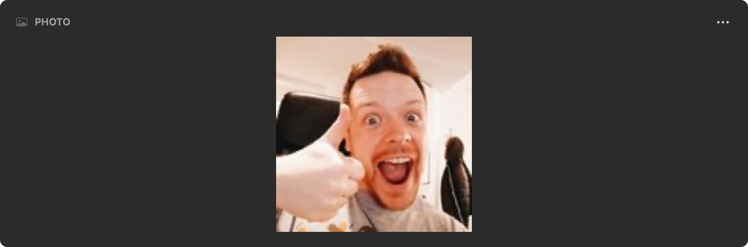 An Image field showing a photo preview