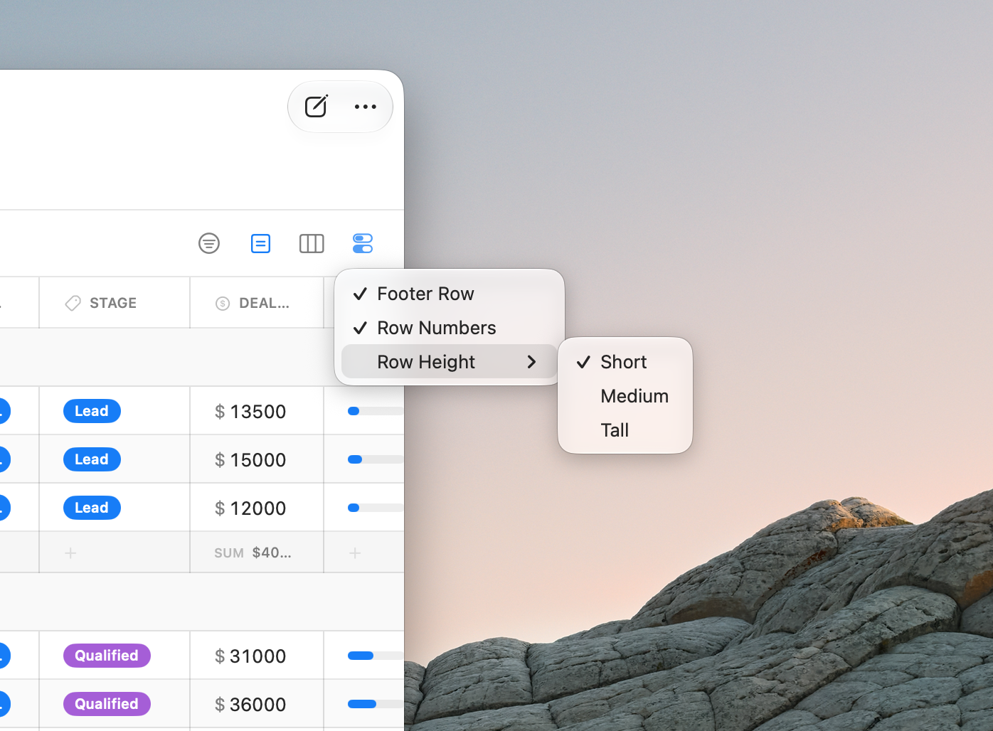 The View options menu showing the Footer Row and Row Numbers toggles and the Row Height picker